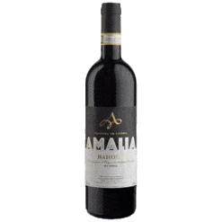 Amalia-Barolo-Bussia