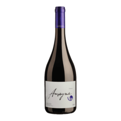 Garces Silva Syrah