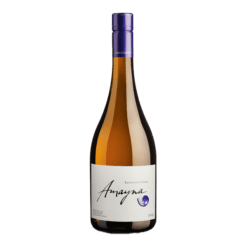 Garces Silva Amayna - Sauvignon