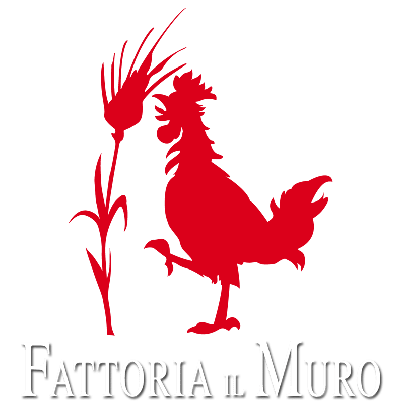 Fattoria Il Muro Chianti