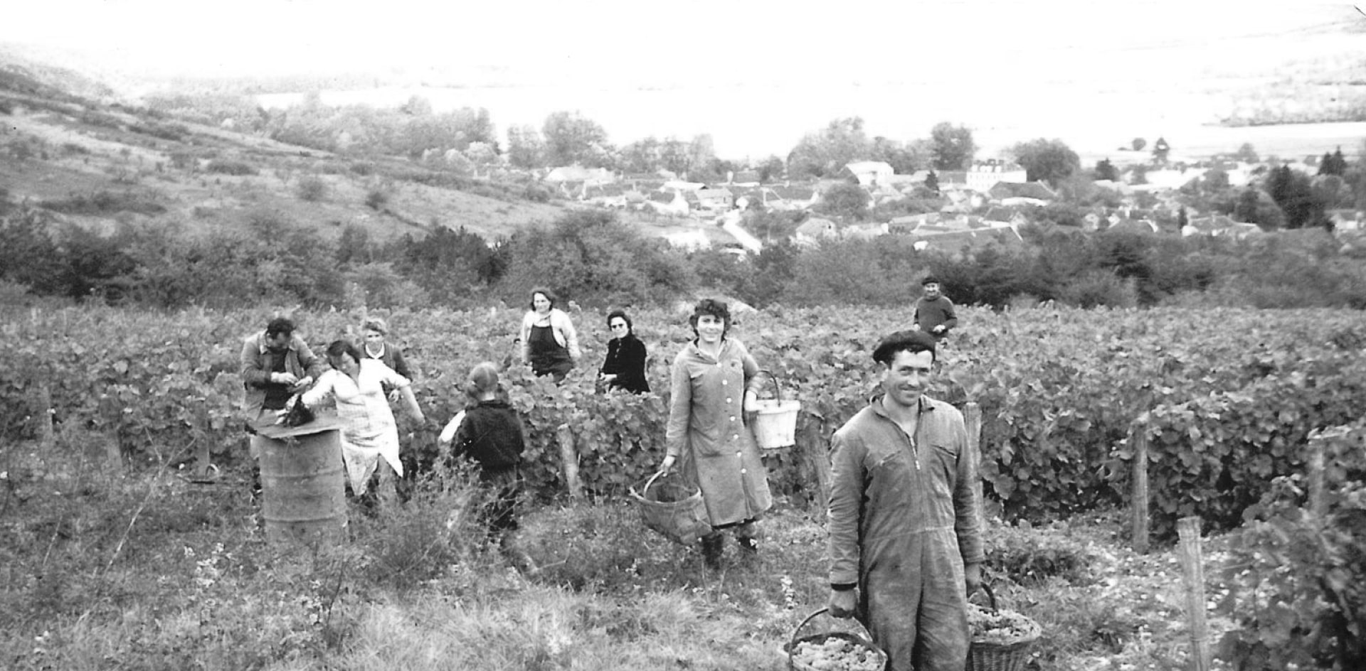 Piollot - Old Photo Vineyard workers