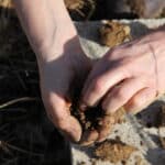 Marie Courtin mains préparations biodynamiques